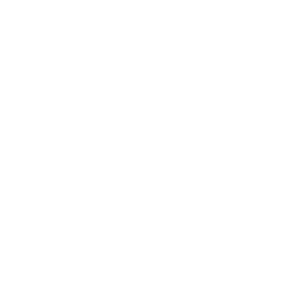logo white 400x400 1